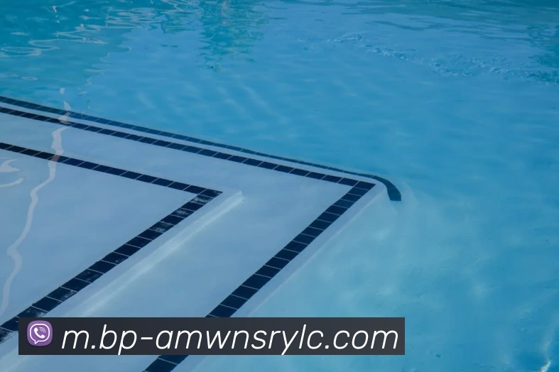 威尼斯人官网APP 封面图